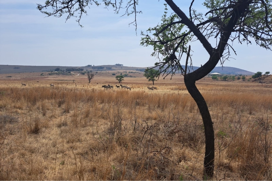 0 Bedroom Property for Sale in Letamo Game Farm Gauteng