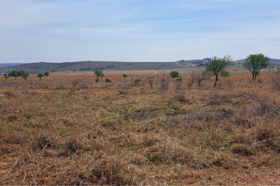 0 Bedroom Property for Sale in Letamo Game Farm Gauteng
