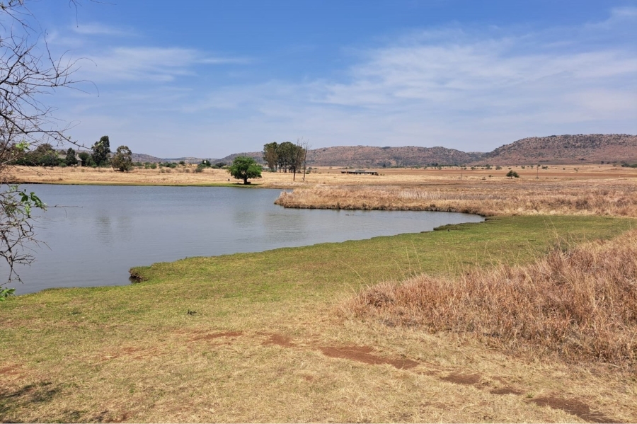 0 Bedroom Property for Sale in Letamo Game Farm Gauteng