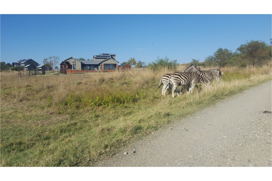 0 Bedroom Property for Sale in Letamo Game Farm Gauteng