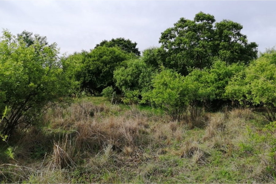 0 Bedroom Property for Sale in Letamo Game Farm Gauteng