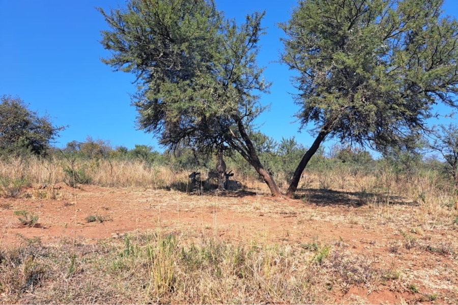 0 Bedroom Property for Sale in Letamo Game Farm Gauteng