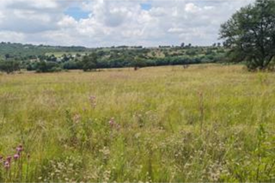 0 Bedroom Property for Sale in Letamo Game Farm Gauteng