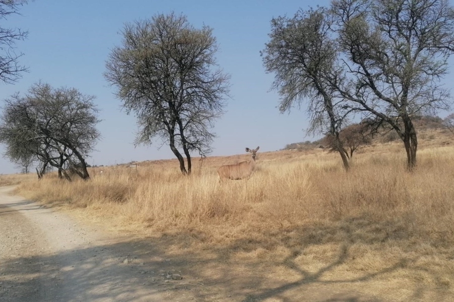 0 Bedroom Property for Sale in Letamo Game Farm Gauteng