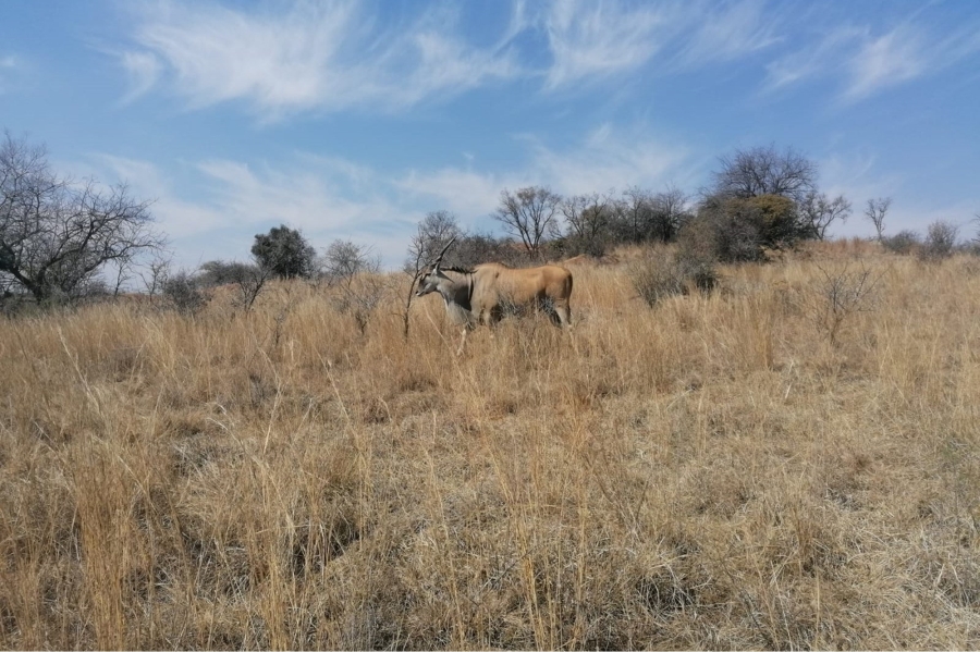 0 Bedroom Property for Sale in Letamo Game Farm Gauteng