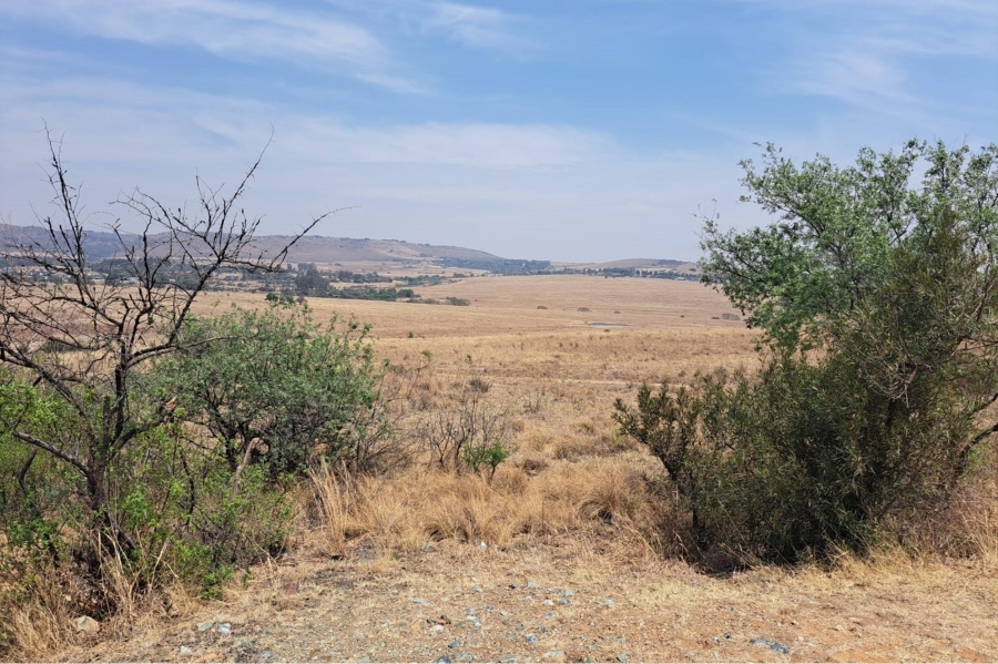 0 Bedroom Property for Sale in Letamo Game Farm Gauteng
