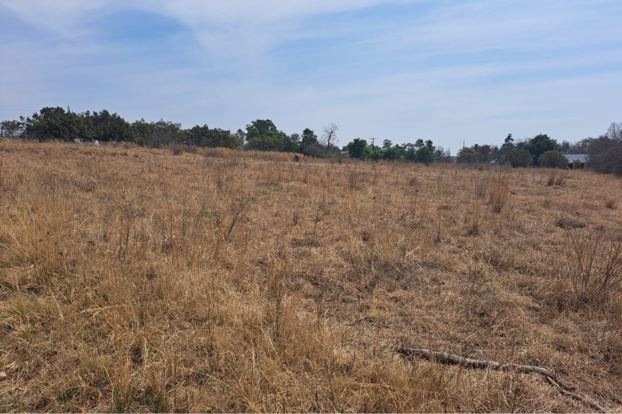0 Bedroom Property for Sale in Letamo Game Farm Gauteng