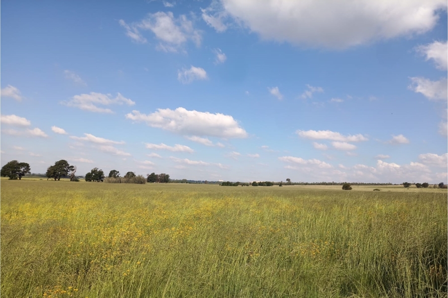 0 Bedroom Property for Sale in Elandsvlei Gauteng
