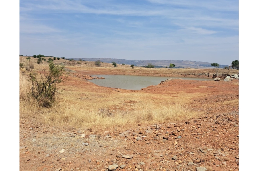 0 Bedroom Property for Sale in Letamo Game Farm Gauteng