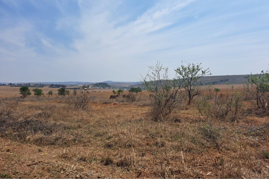 0 Bedroom Property for Sale in Letamo Game Farm Gauteng