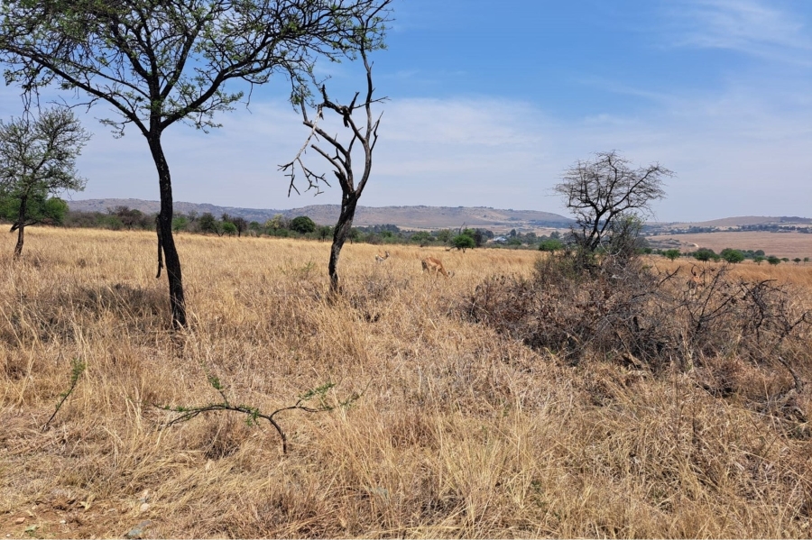 0 Bedroom Property for Sale in Letamo Game Farm Gauteng