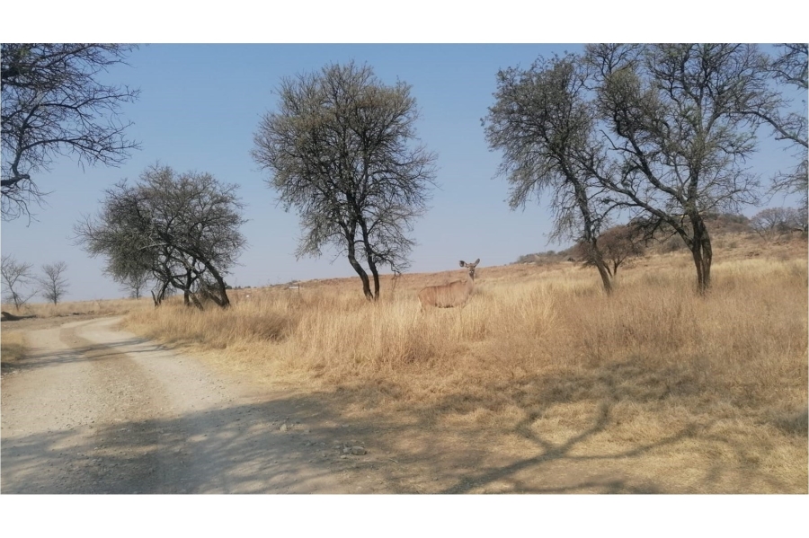 0 Bedroom Property for Sale in Letamo Game Farm Gauteng
