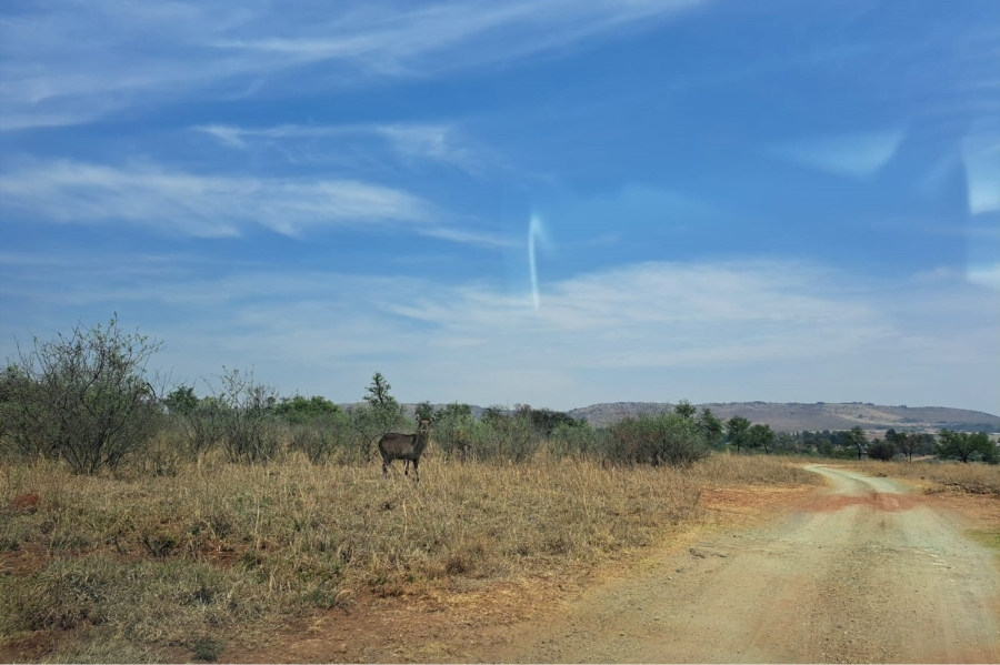 0 Bedroom Property for Sale in Letamo Game Farm Gauteng