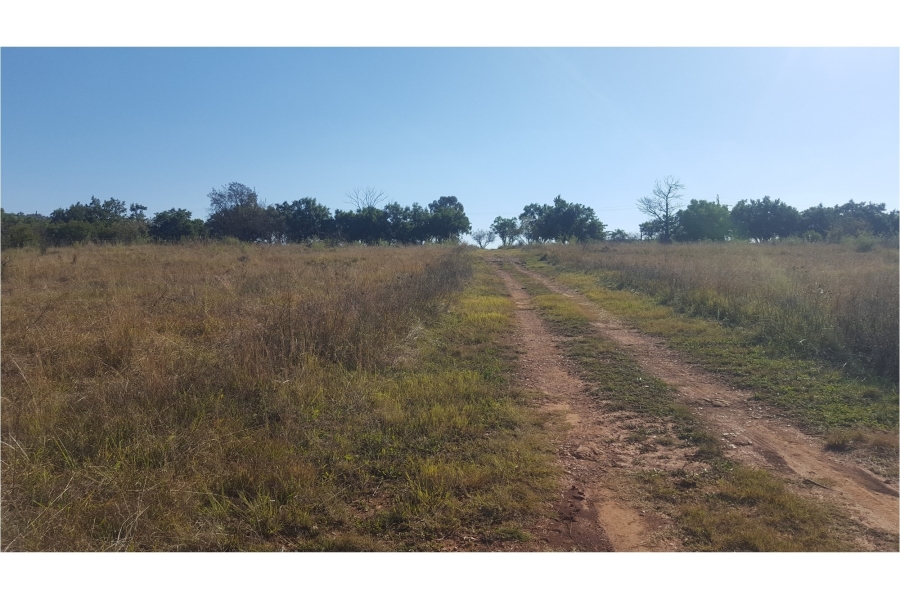 0 Bedroom Property for Sale in Letamo Game Farm Gauteng