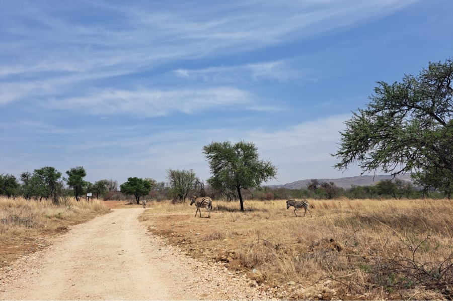 0 Bedroom Property for Sale in Letamo Game Farm Gauteng