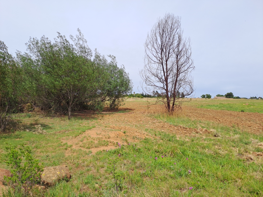 Commercial Property for Sale in Eendracht AH Gauteng