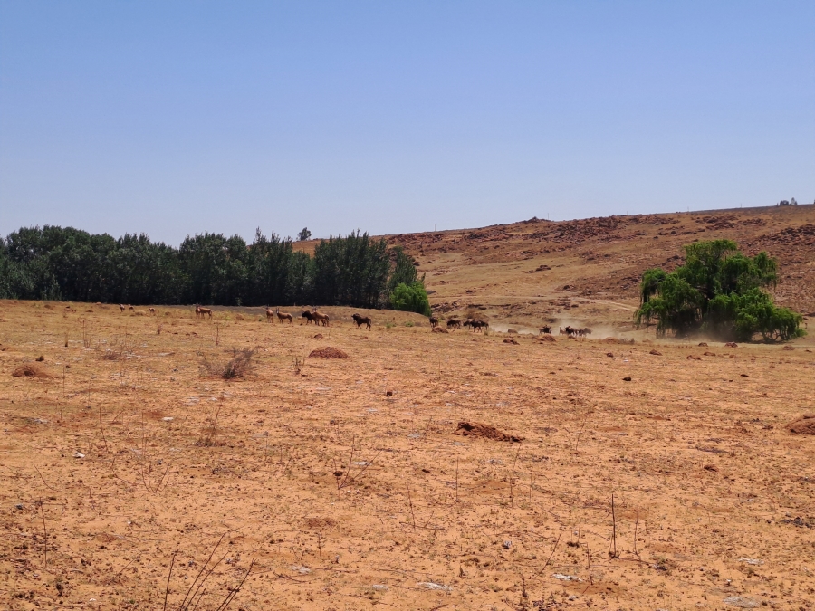 1 Bedroom Property for Sale in Kaydale Gauteng