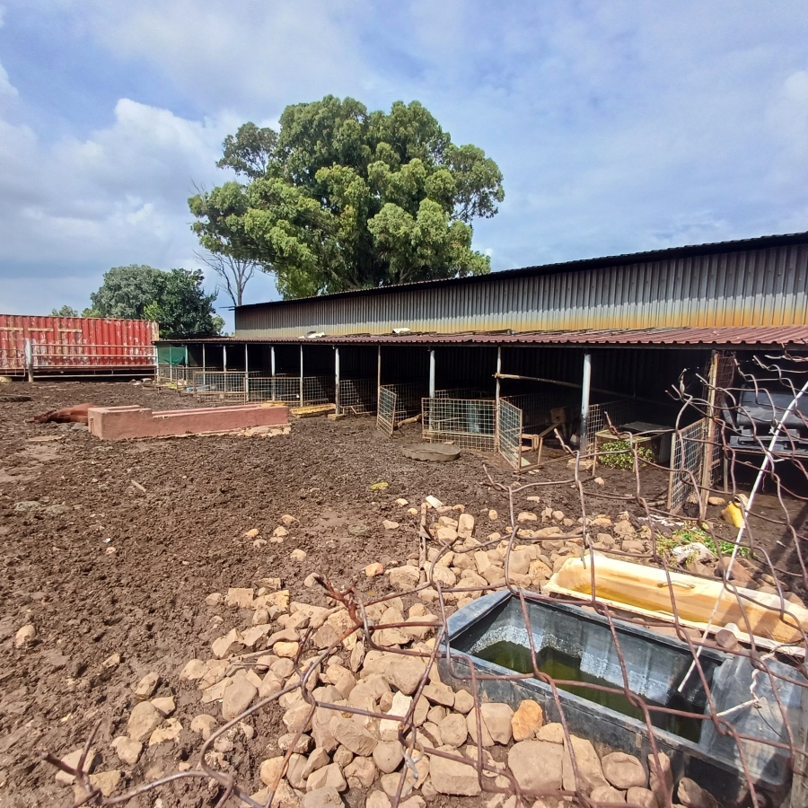 6 Bedroom Property for Sale in Sherman Park Gauteng