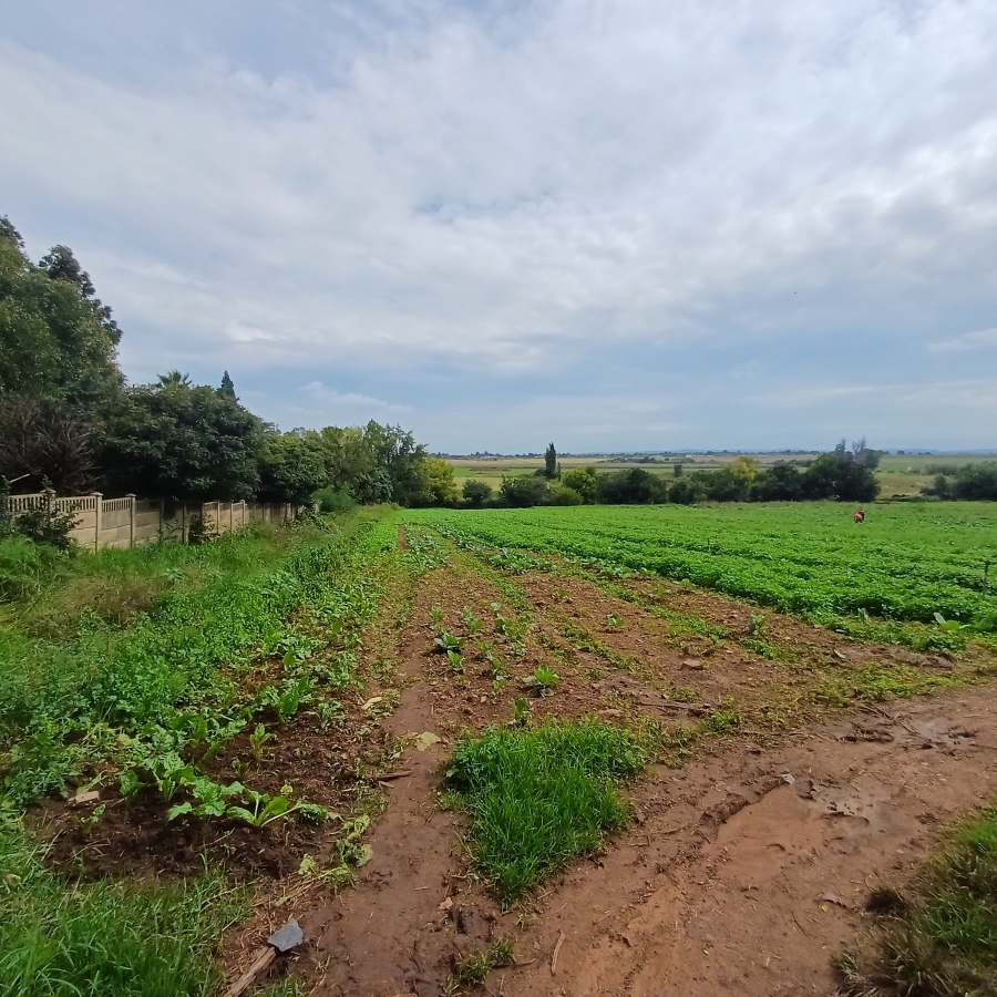 6 Bedroom Property for Sale in Sherman Park Gauteng