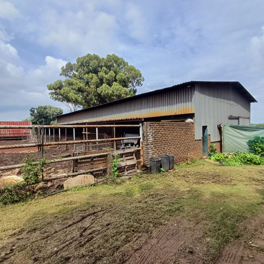 6 Bedroom Property for Sale in Sherman Park Gauteng