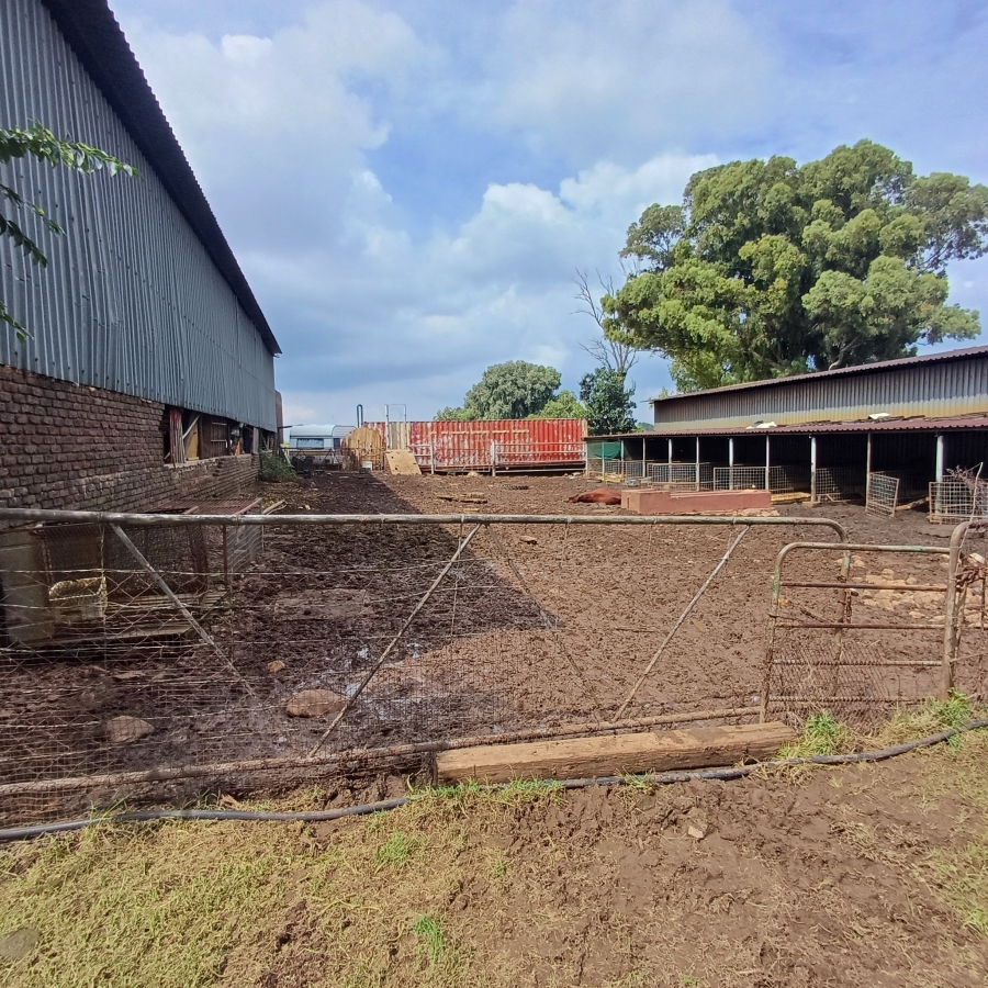 6 Bedroom Property for Sale in Sherman Park Gauteng