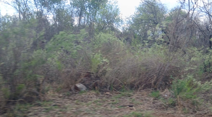 0 Bedroom Property for Sale in Vaaloewer Gauteng