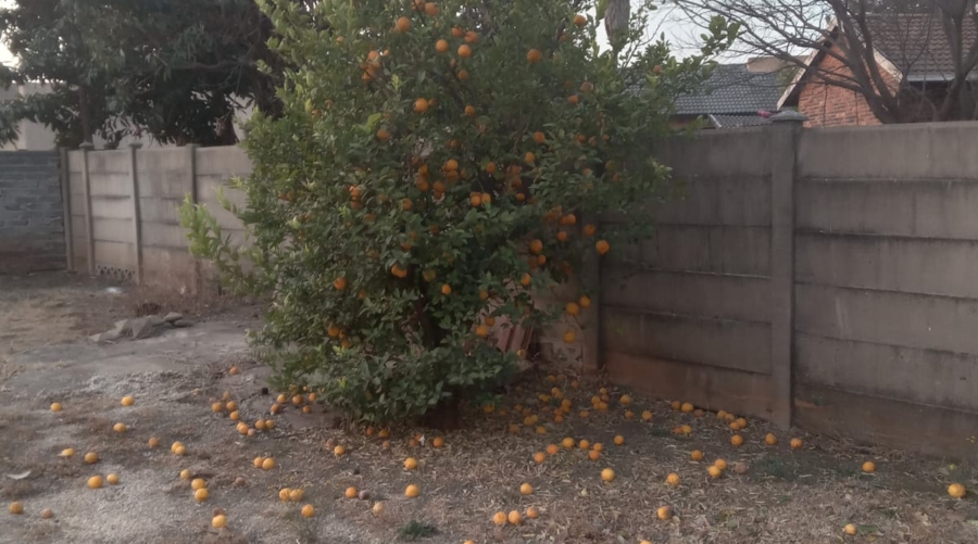 3 Bedroom Property for Sale in Henley on Klip Gauteng