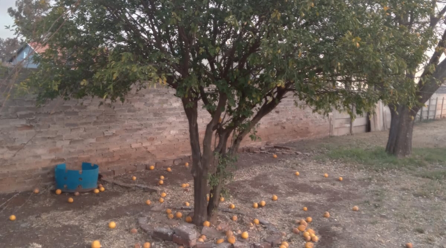 3 Bedroom Property for Sale in Henley on Klip Gauteng