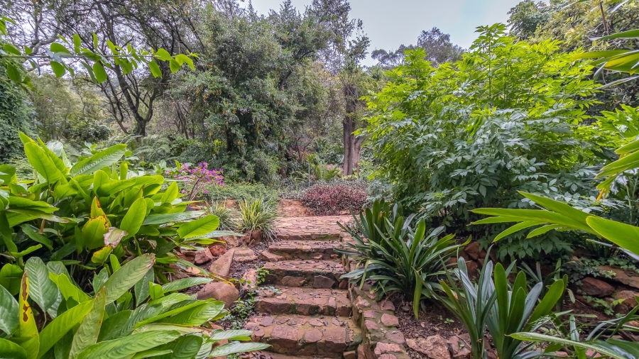 10 Bedroom Property for Sale in Olympus AH Gauteng