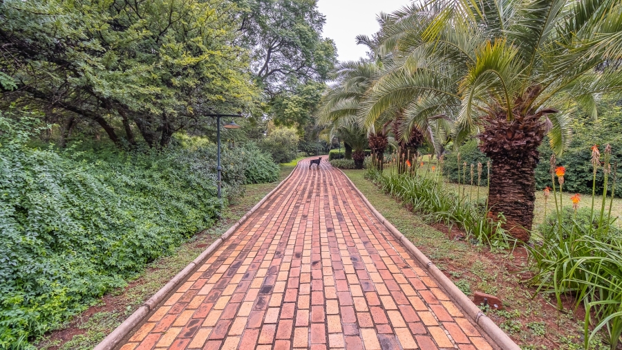 10 Bedroom Property for Sale in Olympus AH Gauteng