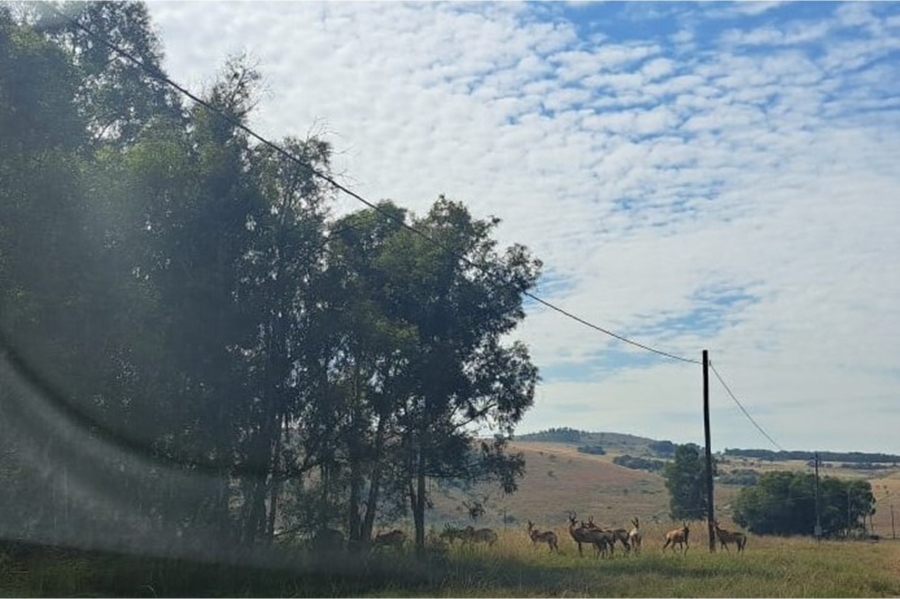 0 Bedroom Property for Sale in Letamo Game Farm Gauteng