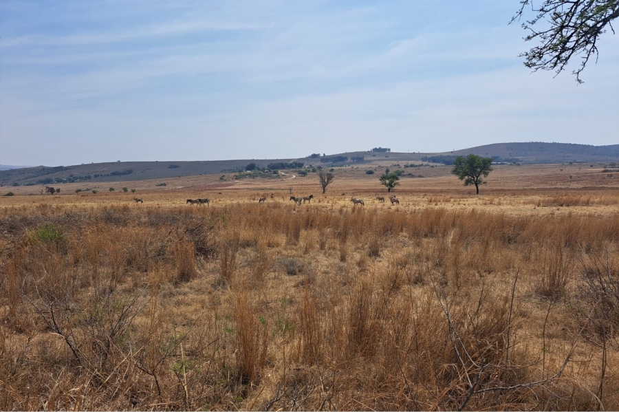 0 Bedroom Property for Sale in Letamo Game Farm Gauteng