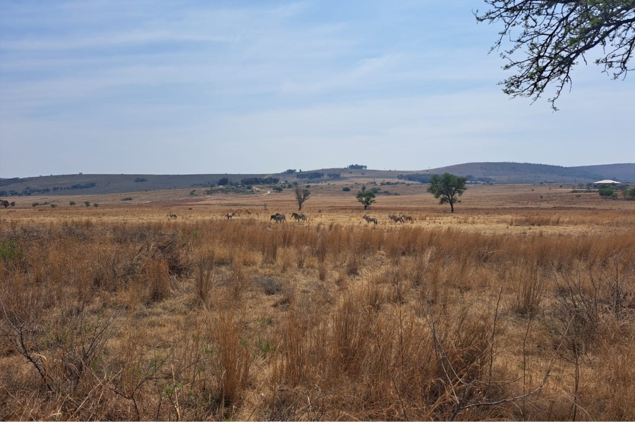 0 Bedroom Property for Sale in Letamo Game Farm Gauteng