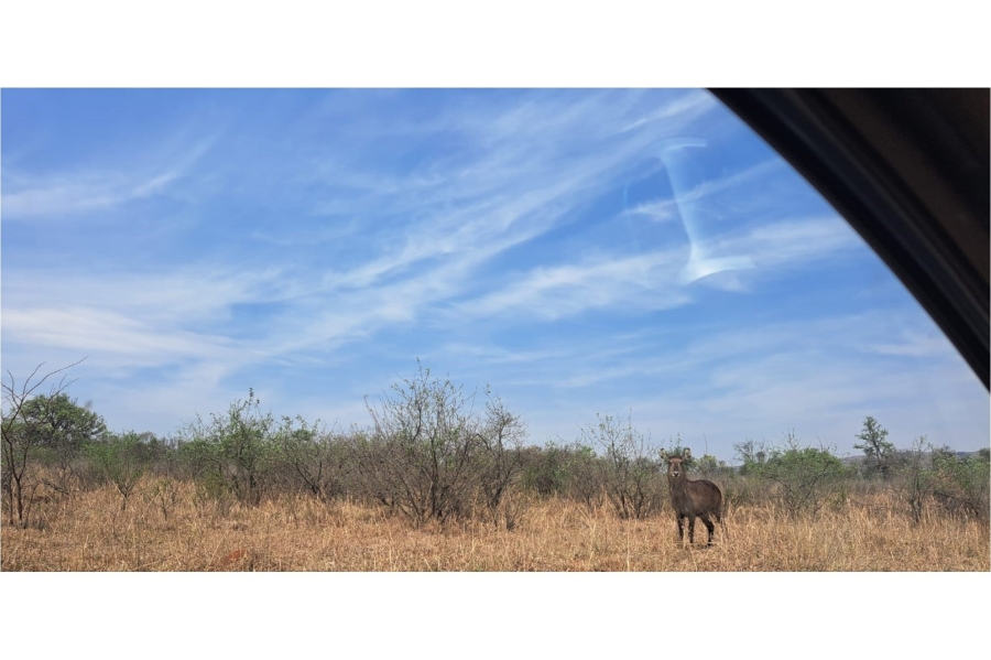 0 Bedroom Property for Sale in Letamo Game Farm Gauteng