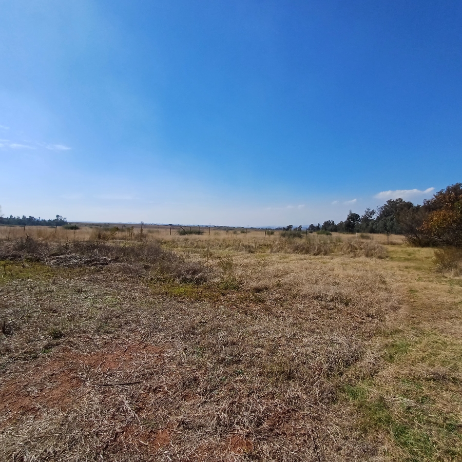 0 Bedroom Property for Sale in Blue Saddle Ranches Gauteng