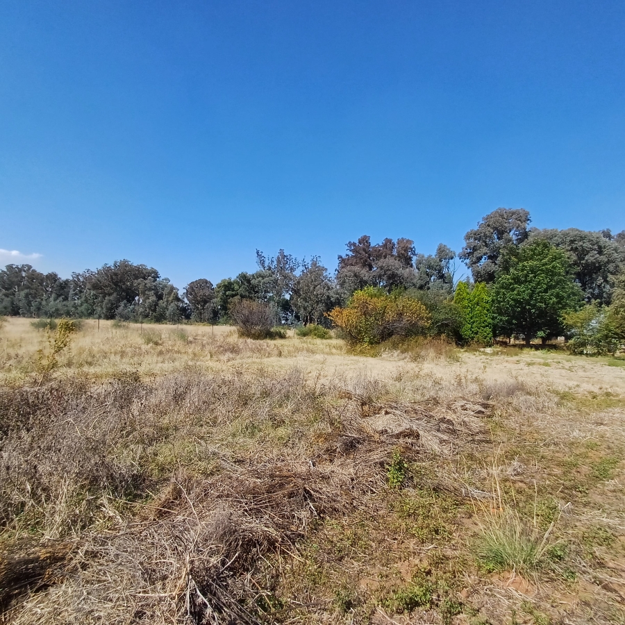 0 Bedroom Property for Sale in Blue Saddle Ranches Gauteng