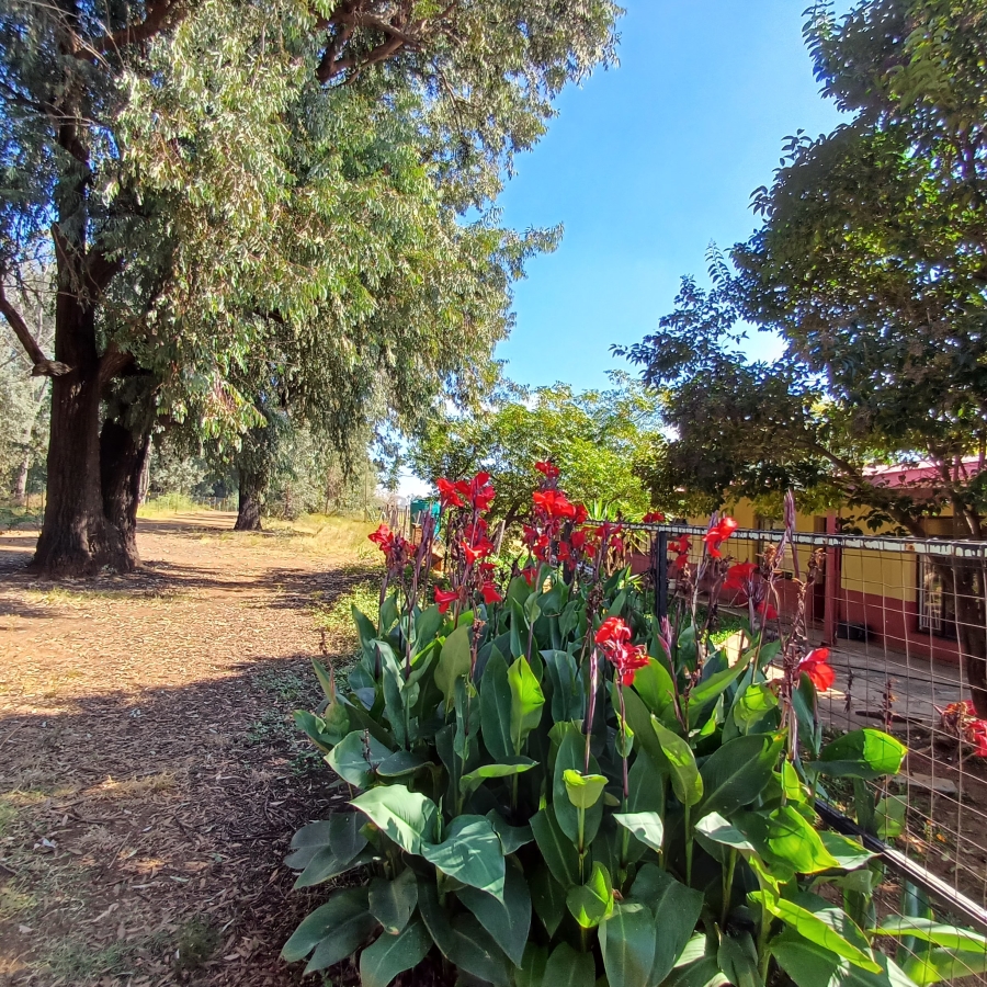 0 Bedroom Property for Sale in Blue Saddle Ranches Gauteng