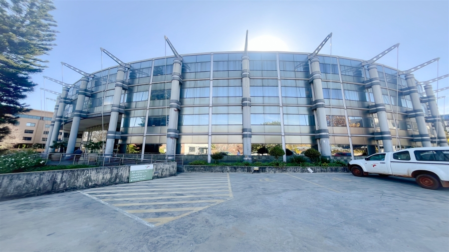 To Let commercial Property for Rent in Parktown Gauteng