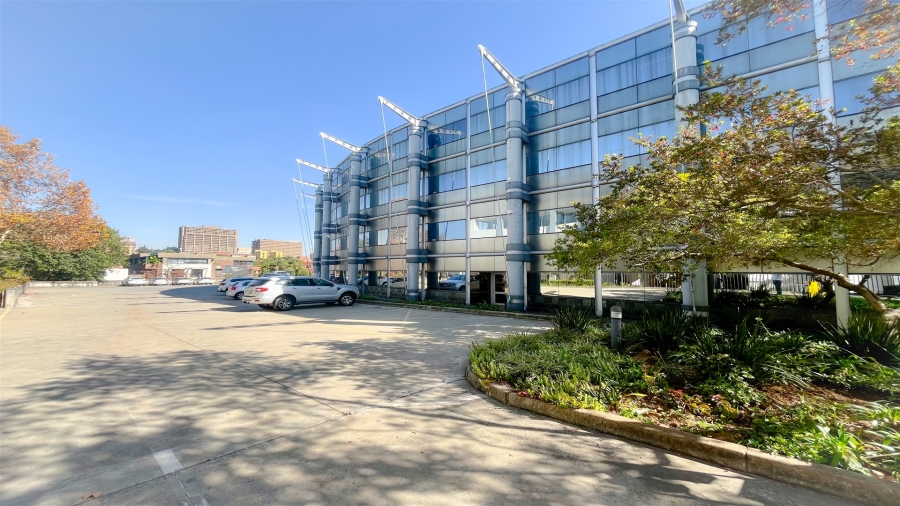 To Let commercial Property for Rent in Parktown Gauteng
