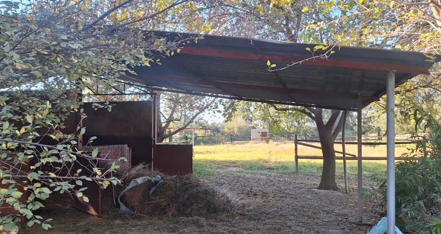 3 Bedroom Property for Sale in Zuurfontein Gauteng