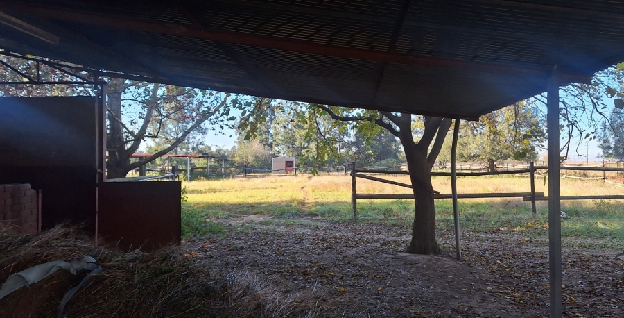3 Bedroom Property for Sale in Zuurfontein Gauteng