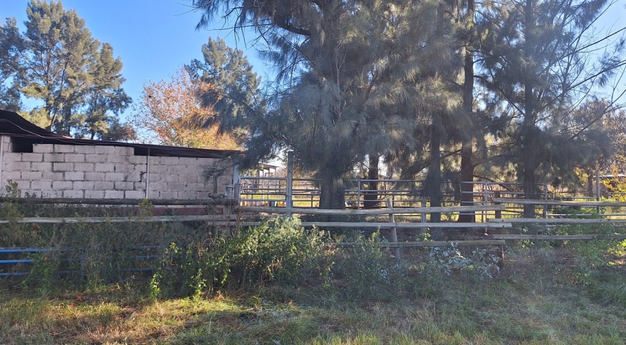 3 Bedroom Property for Sale in Zuurfontein Gauteng