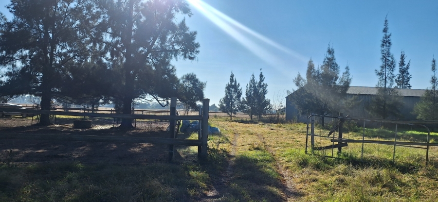 3 Bedroom Property for Sale in Zuurfontein Gauteng