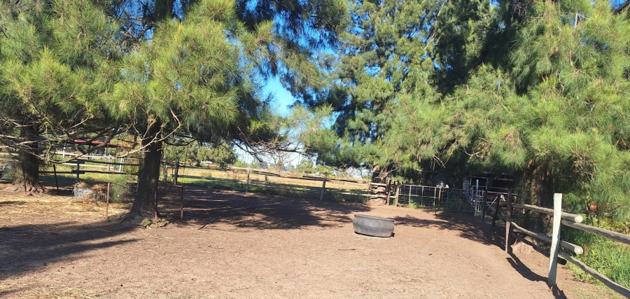 3 Bedroom Property for Sale in Zuurfontein Gauteng