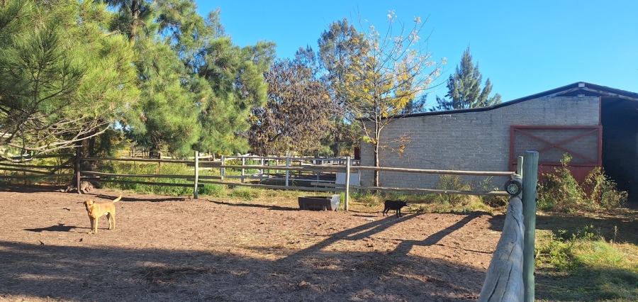 3 Bedroom Property for Sale in Zuurfontein Gauteng