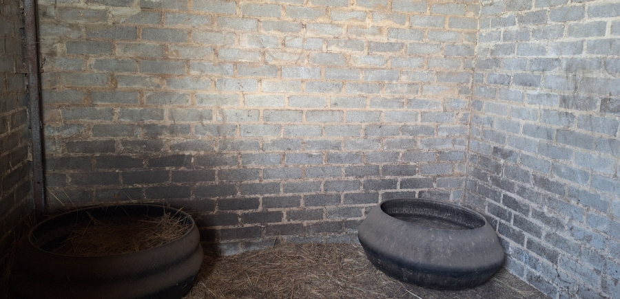 3 Bedroom Property for Sale in Zuurfontein Gauteng