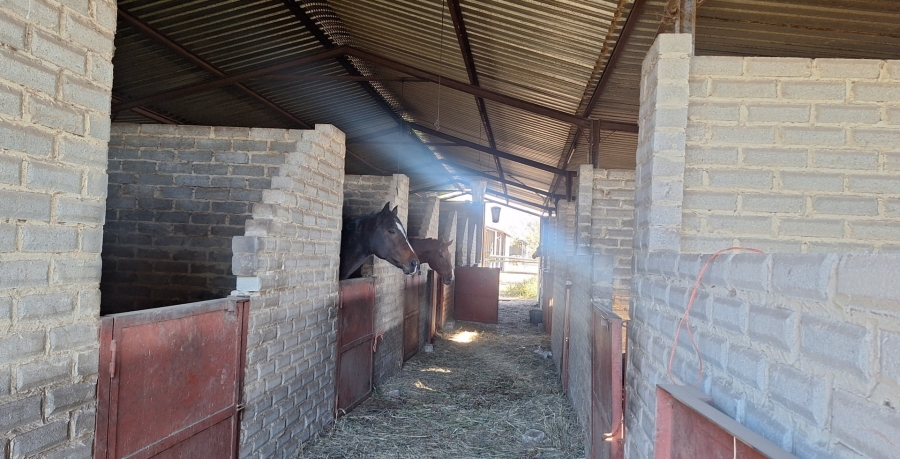 3 Bedroom Property for Sale in Zuurfontein Gauteng