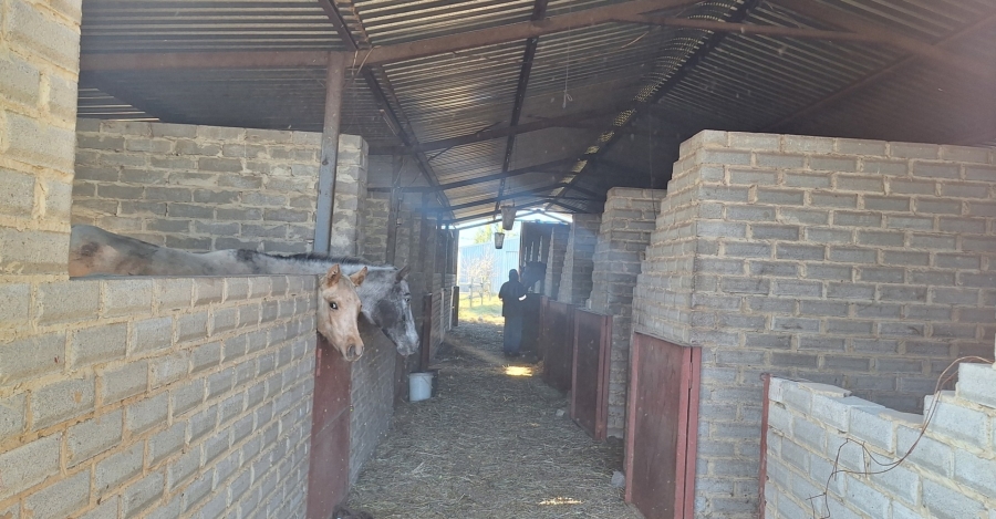 3 Bedroom Property for Sale in Zuurfontein Gauteng