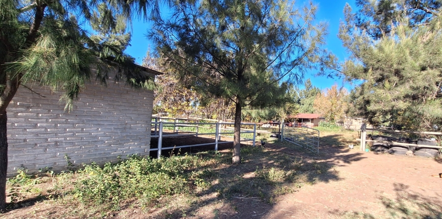 3 Bedroom Property for Sale in Zuurfontein Gauteng