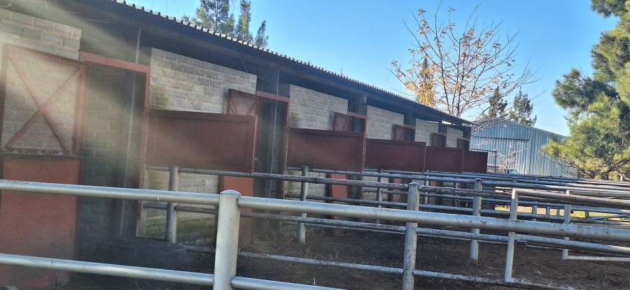 3 Bedroom Property for Sale in Zuurfontein Gauteng